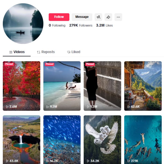 270K Nature Wildlife TikTok Account for sale