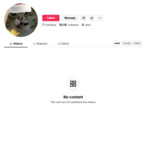 CPB Monetized TikTok Account for sale
